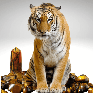 Close-up of a Tiger's Eye crystal, showcasing its golden-brown bands and shimmering surface. Known for its metaphysical properties of protection, courage, and grounding energy.