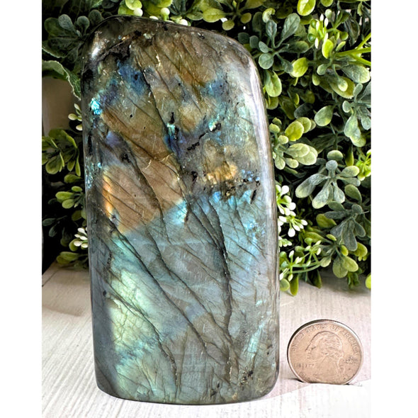 1 Lb Rainbow Labradorite Crystal Free Form