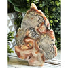 Crazy Lace Agate Crystal Indian Skull featuring vibrant patterns, perfect for decoration and spiritual energy.