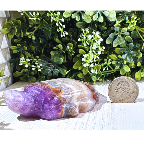 Natural Amethyst Agate Crystal Sea Turtle