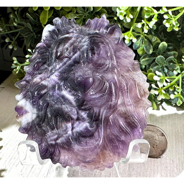 Dream Amethyst Lion Head Carving