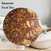 Natural Ammonite Disc Fossil: A stunning, ancient fossil showcasing intricate spiral patterns and natural earthy tones.