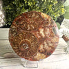 Natural Ammonite Disc Fossil: A stunning, ancient fossil showcasing intricate spiral patterns and natural earthy tones.