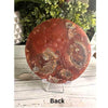 Natural Ammonite Disc Fossil: A stunning, ancient fossil showcasing intricate spiral patterns and natural earthy tones.