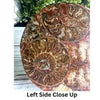 Natural Ammonite Disc Fossil: A stunning, ancient fossil showcasing intricate spiral patterns and natural earthy tones.