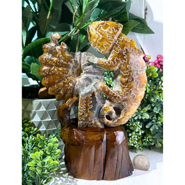 Handcarved Ammonite Crystal Lizard Figurine