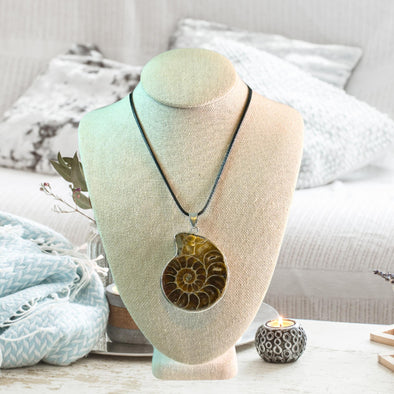 Ammonite mollusc shell fossil necklace, featuring intricate natural patterns and a unique vintage charm. A unique necklace with a beach style feel.