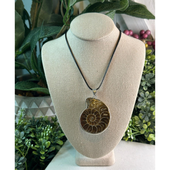 Ammonite Mollusc Shell Fossil Necklace