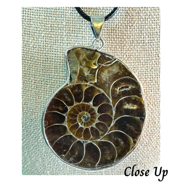 Ammonite Mollusc Shell Fossil Necklace