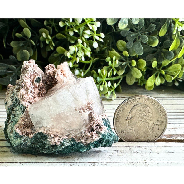 Apophyllite Crystal Cluster Specimen