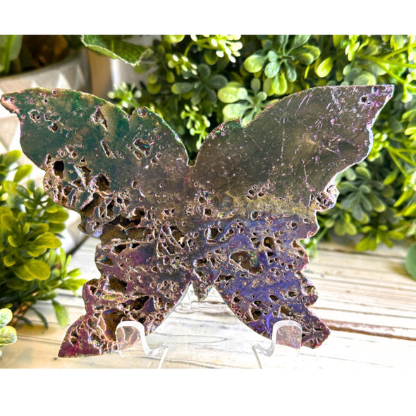 Druzy Aura Sphalerite Butterfly Carving