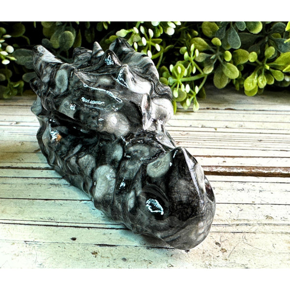 Black Fossil Coral Dragon Skull Carving