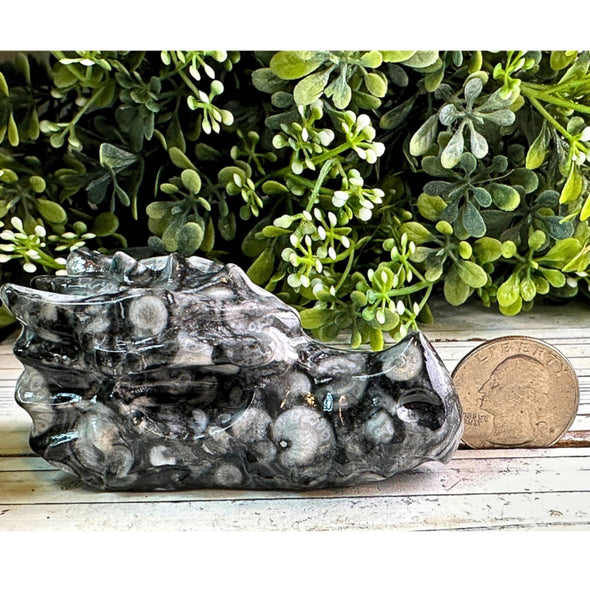 Black Fossil Coral Dragon Skull Carving