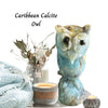 Caribbean Calcite crystal owl carving, showcasing vibrant blue and white hues, symbolizing wisdom and tranquility.