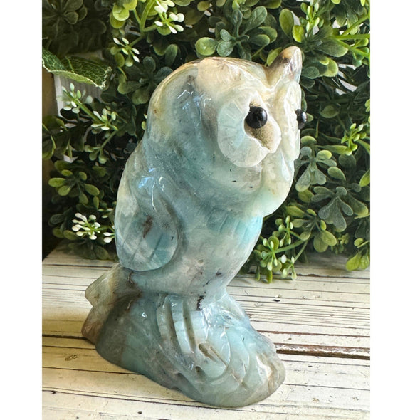 Caribbean Calcite Crystal Owl Carving