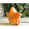 Radiant Carnelian Crystal Star Carving – Energizing stone for motivation, creativity, and courage, shaped into a star.