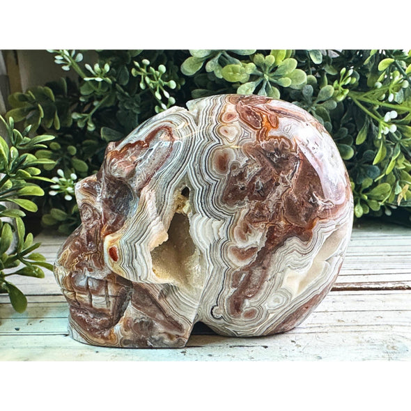 Crazy Lace Agate Crystal Skull Carving