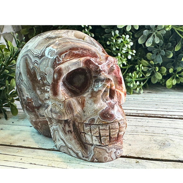 Crazy Lace Agate Crystal Skull Carving