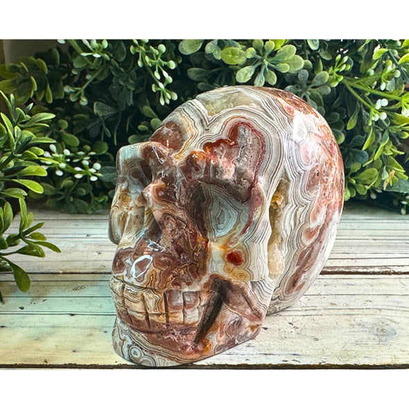 Crazy Lace Agate Crystal Skull Carving