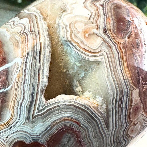 Crazy Lace Agate Crystal Skull Carving