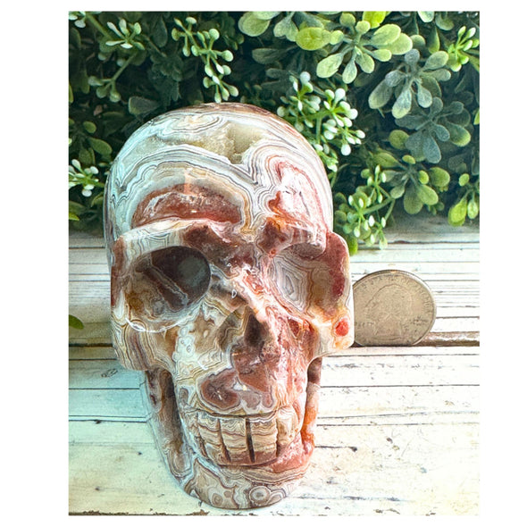 Crazy Lace Agate Crystal Skull Carving