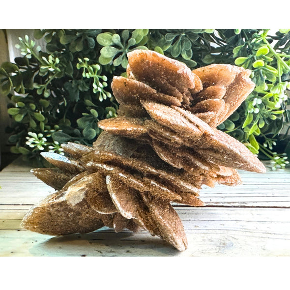 Natural Gypsum Desert Rose Specimen