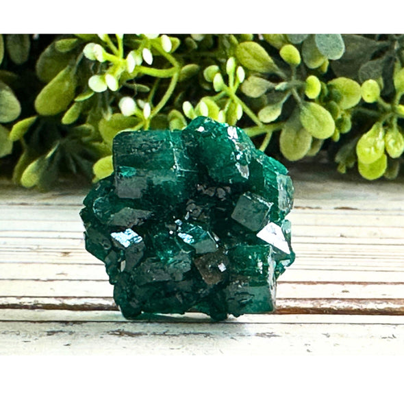 Natural Dioptase Crystal Specimen