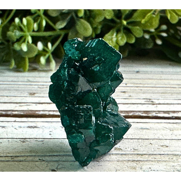 Natural Dioptase Crystal Specimen