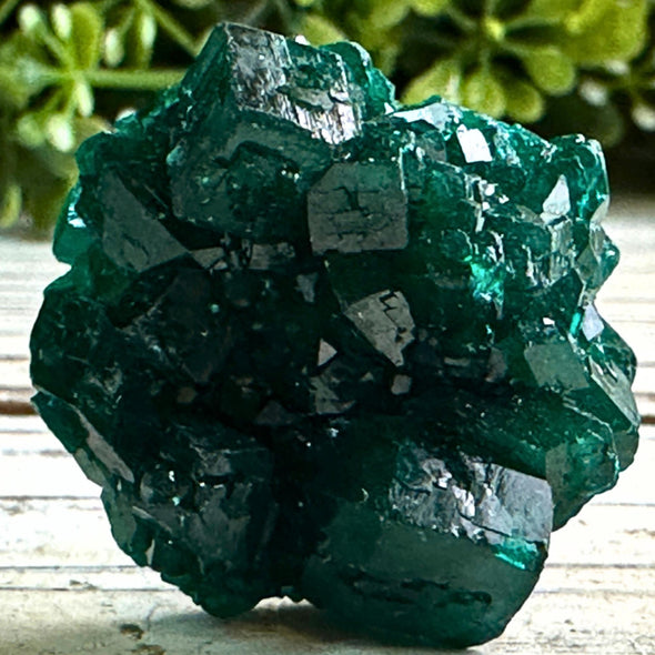 Natural Dioptase Crystal Specimen