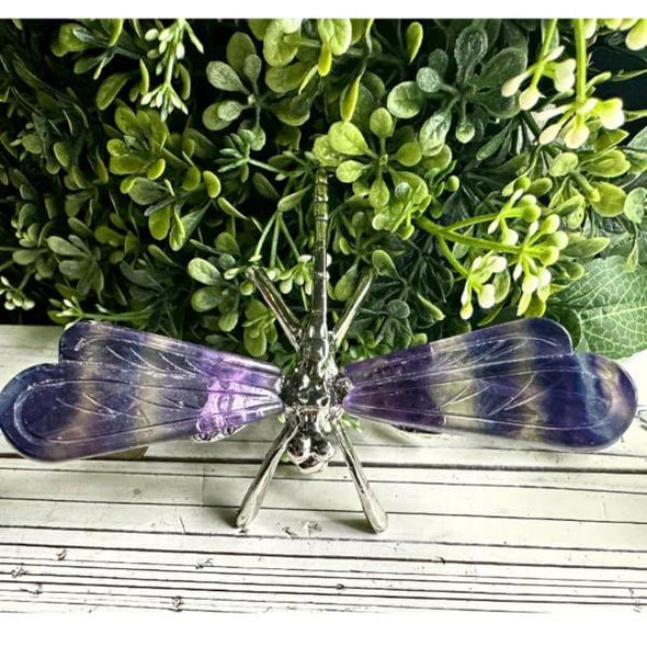 Rainbow Fluorite Crystal Dragonfly Wings