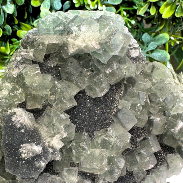 Fluorite Specimen With Galena Inclusions