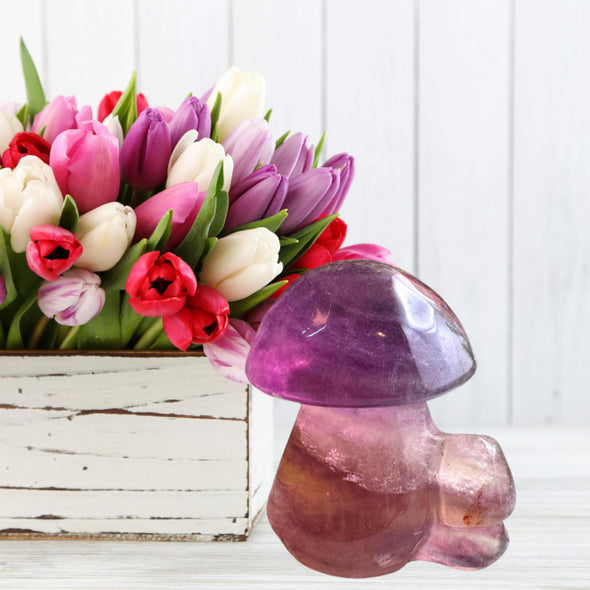 Fluorite Gemstone Toadstool Mushroom Carving