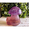 Fluorite gemstone toadstool mushroom carving with vibrant colors, perfect for creativity, focus, and decorative display.