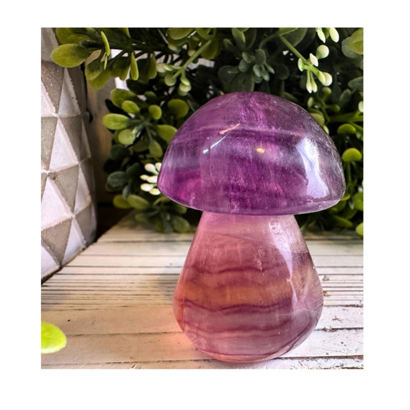 Fluorite Gemstone Toadstool Mushroom Carving