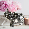 Black Fossil Coral elephant carving showcasing intricate details and natural patterns, perfect for home decor and healing