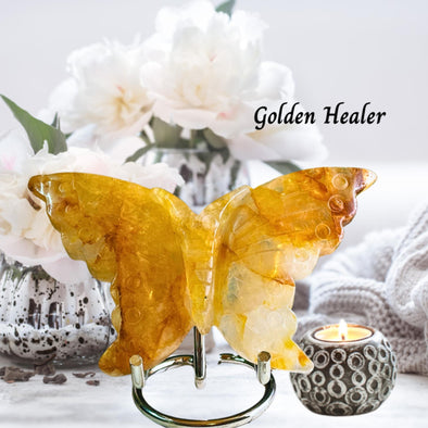 golden_healer_butterfly