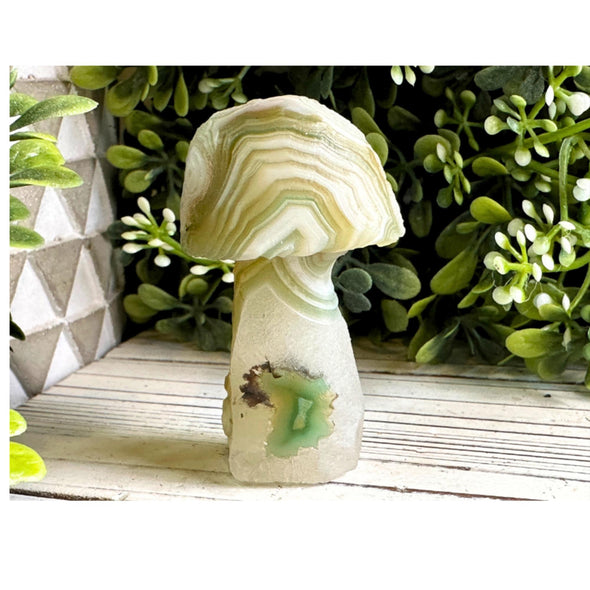 Natural Gobi Agate Crystal Mushroom Carving