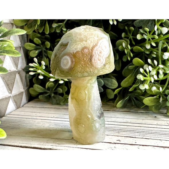 Natural Gobi Agate Crystal Mushroom Carving