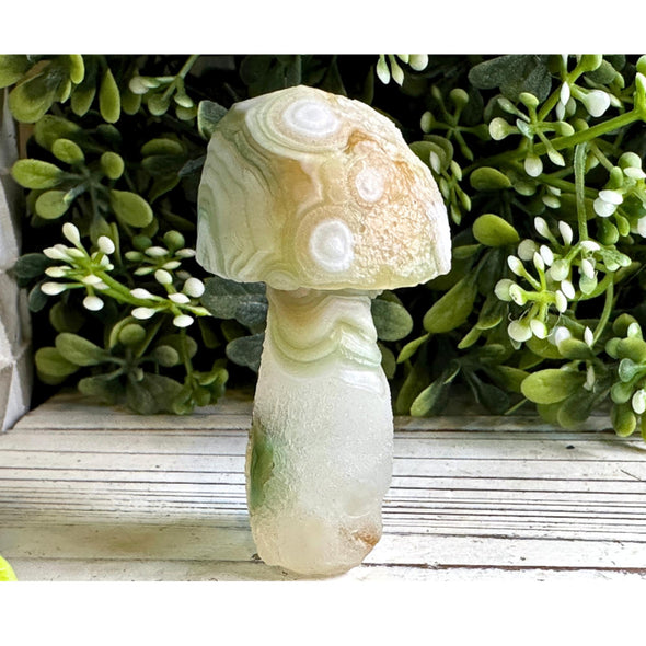 Natural Gobi Agate Crystal Mushroom Carving