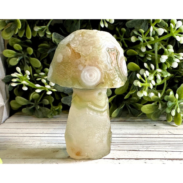 Natural Gobi Agate Crystal Mushroom Carving