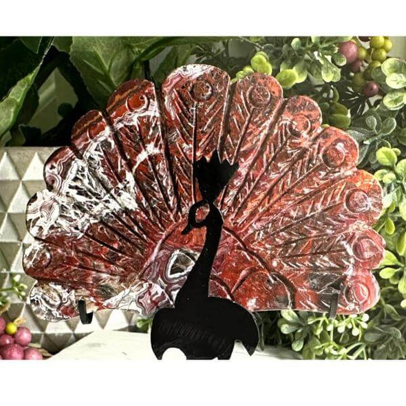 Mexican Lace Agate Peacock Wings