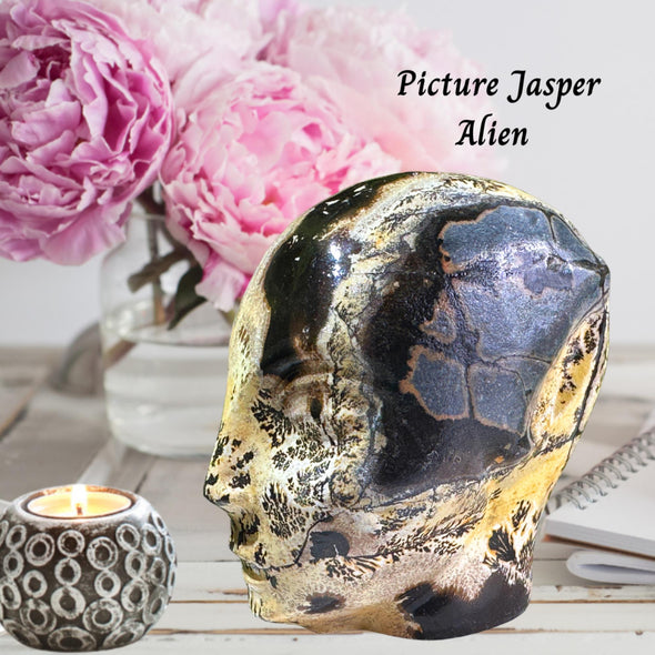 Picture Jasper Stone Crystal Alien Head