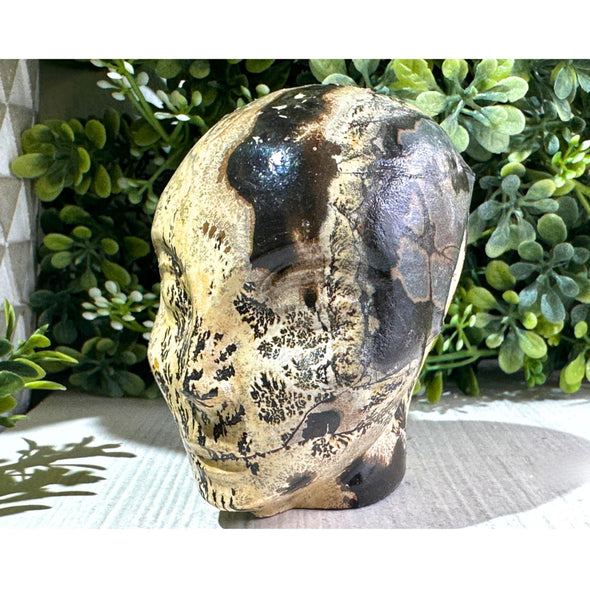 Picture Jasper Stone Crystal Alien Head