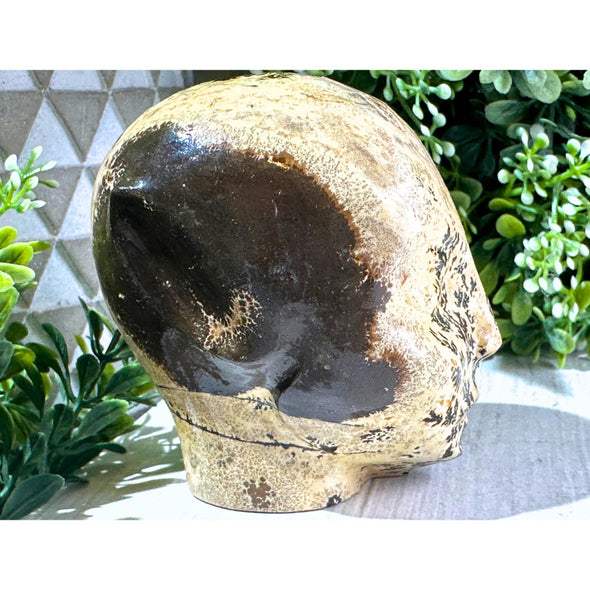 Picture Jasper Stone Crystal Alien Head