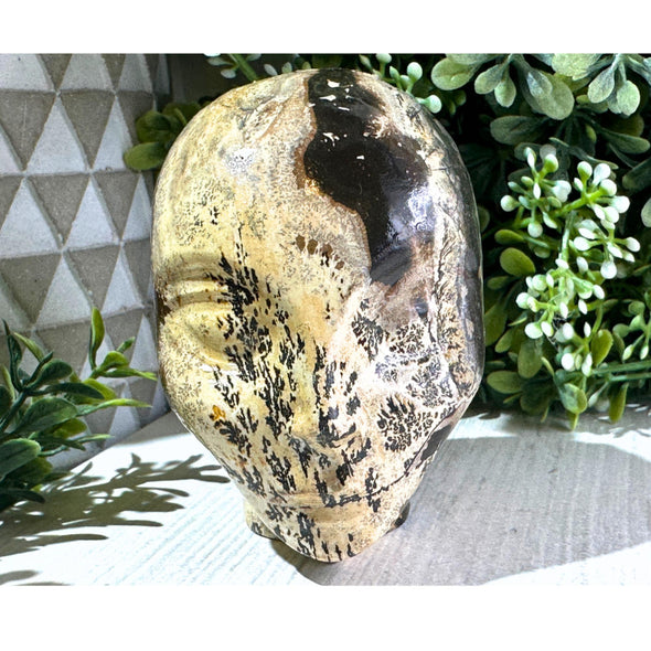 Picture Jasper Stone Crystal Alien Head