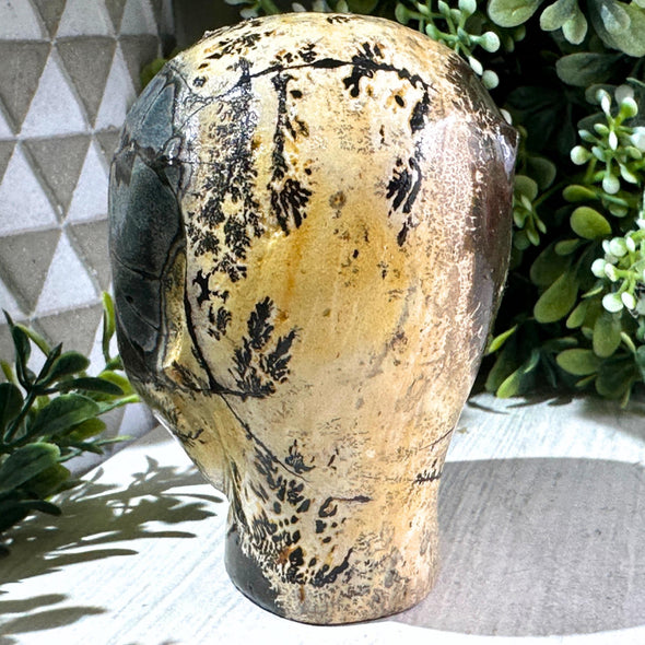 Picture Jasper Stone Crystal Alien Head