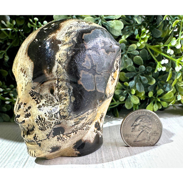 Picture Jasper Stone Crystal Alien Head