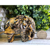 Picture Stone Jasper Elephant Carving—elegant and detailed, this sculpture combines natural beauty with calming energy for a unique decor piece.