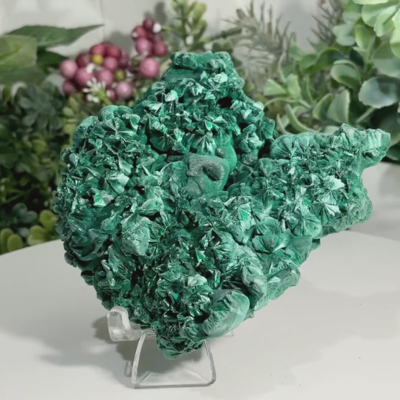 Natural fibrous malachite crystal specimen featuring vibrant green banding and intricate mineral growth.