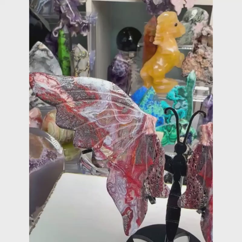Natural Mexican Lace Agate butterfly figurine with intricate banding and polished finish.